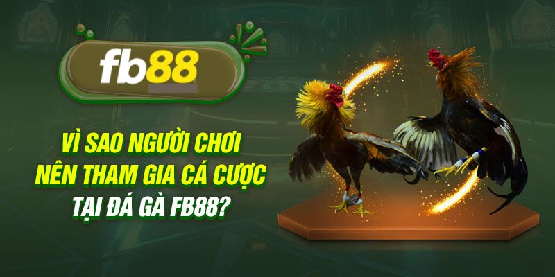 Các trận đá gà Fb88 có nhiều ưu điểm