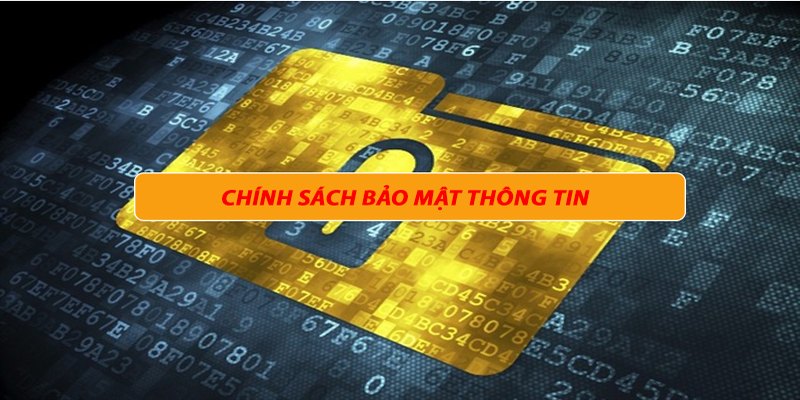 Nắm vững các điều khoản và quy định chính sách bảo mật